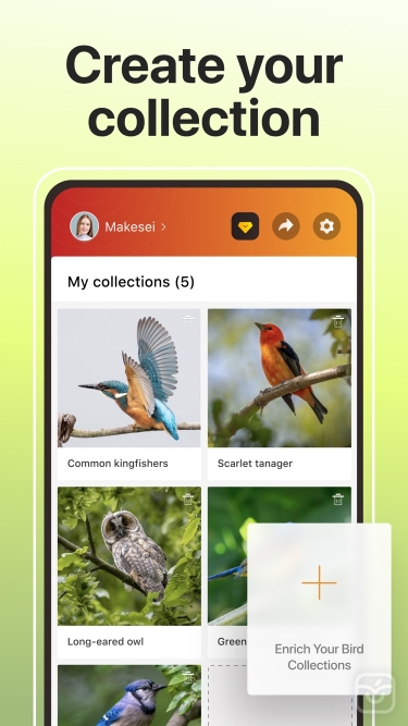 تصاویر Picture Bird ++