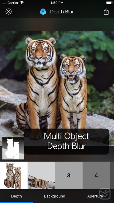 تصاویر Depth Blur - Manual Portrait
