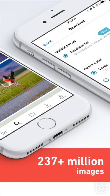 تصاویر Shutterstock - Stock Photos