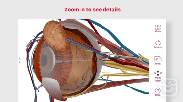 تصاویر Anatomy & Physiology
