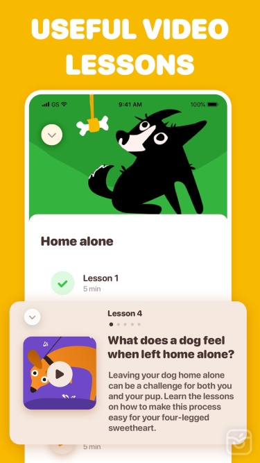 تصاویر Woofz: Dog Training