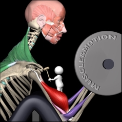 لوگو Strength by Muscle & Motion ++