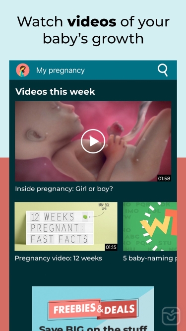 تصاویر Pregnancy Tracker - BabyCenter