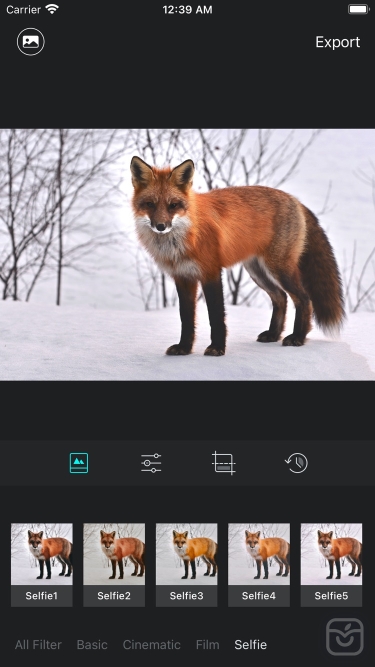 تصاویر Luca - Photo Editor & Filters ++