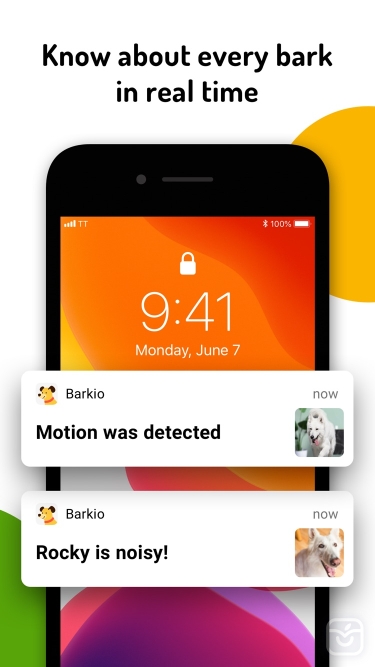 تصاویر Barkio: Dog Monitor & Pet Cam