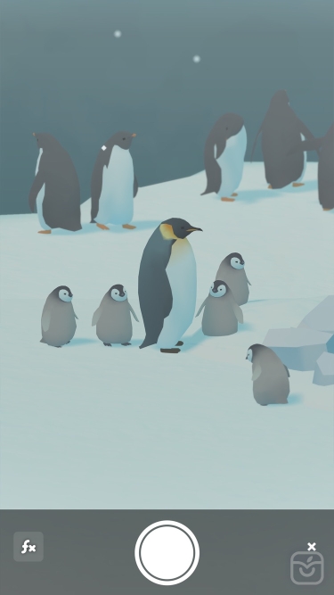 تصاویر Penguin Isle ++
