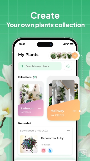 تصاویر LeafSnap-Plant Identification++
