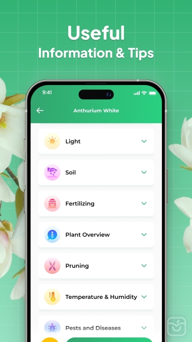 تصاویر LeafSnap-Plant Identification++