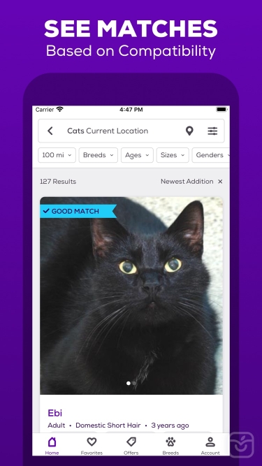 تصاویر Petfinder - Adopt a Pet