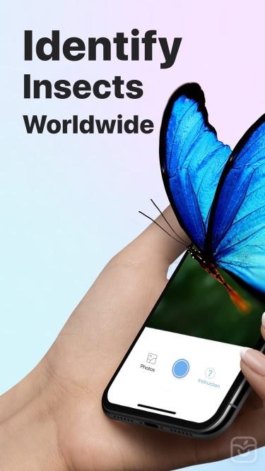 تصاویر Picture Insect: Bug Identifier ++