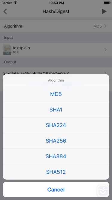 تصاویر Anubis - API Debug & Inspect