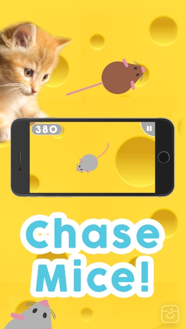 تصاویر Games for Cats!