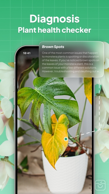 تصاویر LeafSnap-Plant Identification++