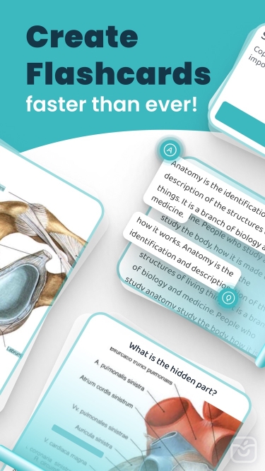 تصاویر AI Study Flashcards: Voovo ++