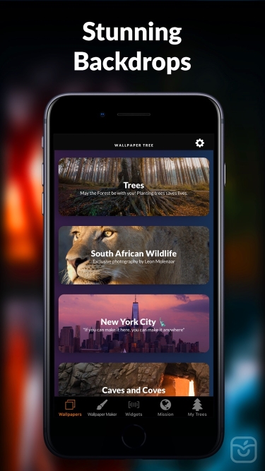 تصاویر Wallpaper Tree: 4K Wallpapers