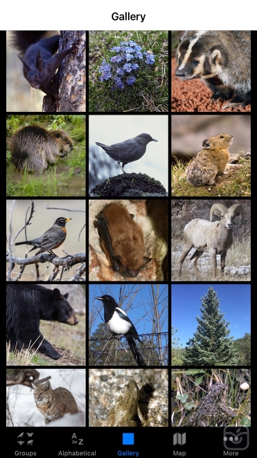 تصاویر Rocky Mountain NP Field Guide