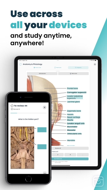 تصاویر AI Study Flashcards: Voovo ++