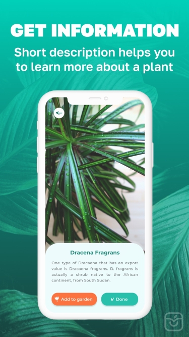 تصاویر Plant identifier flower & tree
