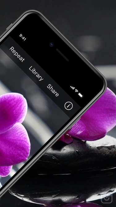 تصاویر TapTapSee