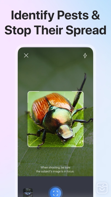 تصاویر Picture Insect: Bug Identifier ++