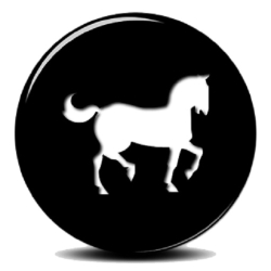 لوگو بیماری های اسب