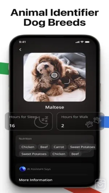 تصاویر Lens AI: Scanner & Identifier++