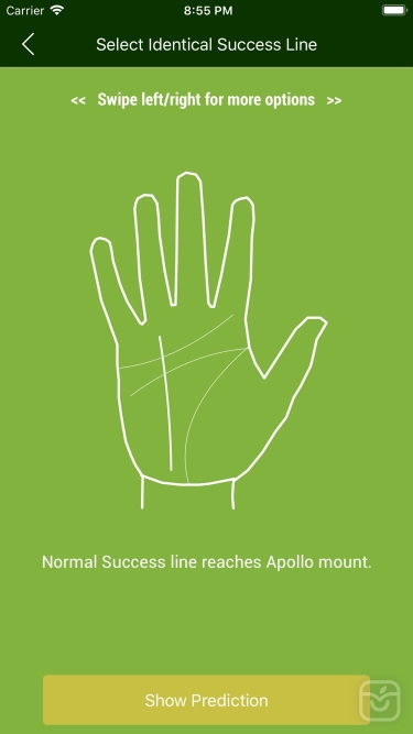 تصاویر PALM READER The Fortune Teller