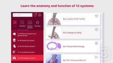 تصاویر Anatomy & Physiology