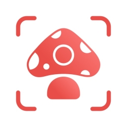 لوگو Picture Mushroom: Fungi finder ++