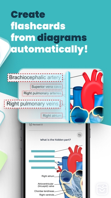 تصاویر AI Study Flashcards: Voovo ++