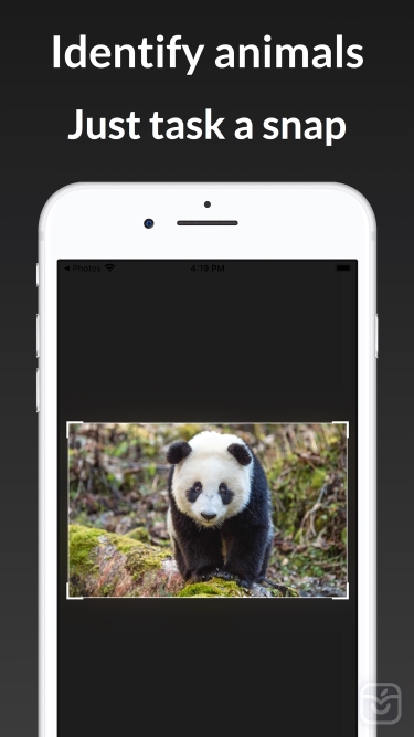 تصاویر ianimal - animal Identifier ++