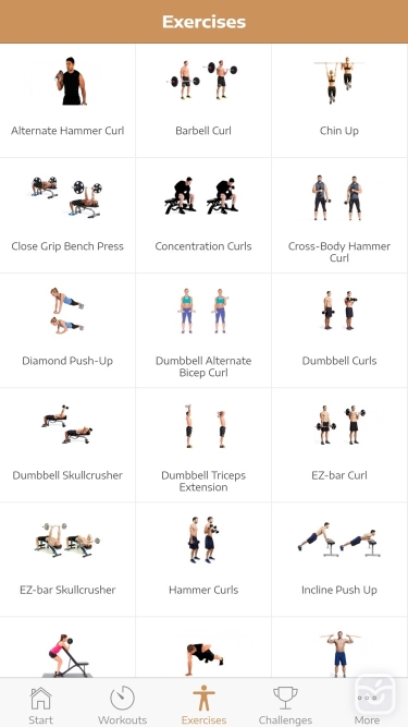 تصاویر Huge Arms Workout Guide