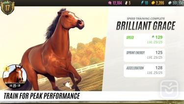 تصاویر Rival Stars Horse Racing ++