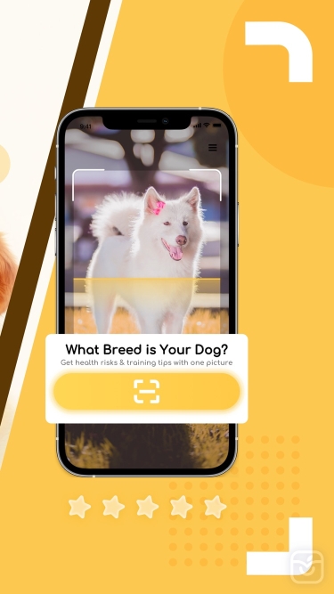 تصاویر DogSnap:Dog breed scanner&Care