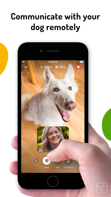 تصاویر Barkio: Dog Monitor & Pet Cam