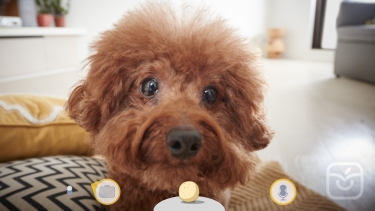 تصاویر Furbo Dog Camera