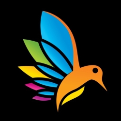 لوگو Ink: Noir Color by Number Book