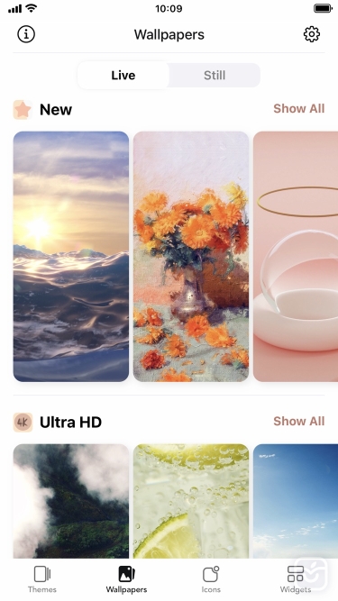 تصاویر Themify: Icon Themes & Widgets