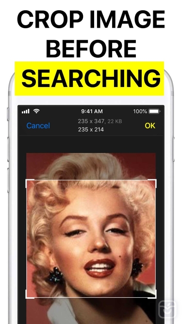 تصاویر Reversee: Reverse Image Search ++