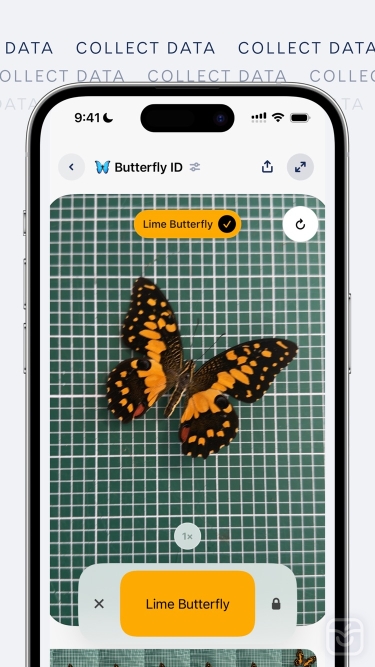 تصاویر FieldDay · Real-World AI ++