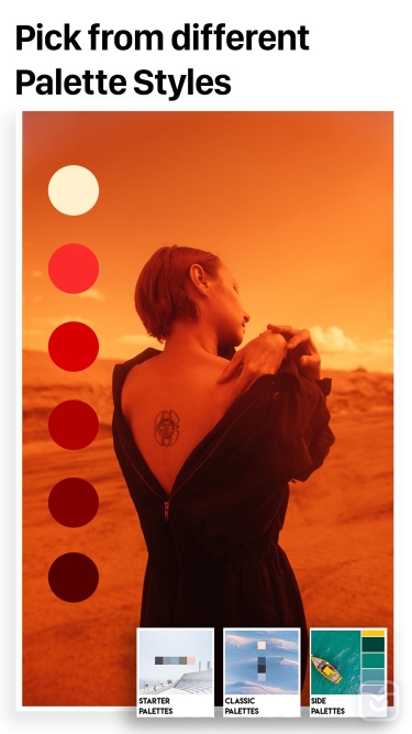 تصاویر Palette Republic ++