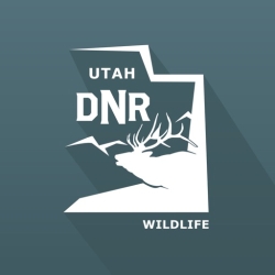 لوگو Utah Hunting and Fishing