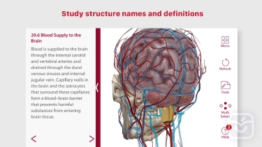 تصاویر Anatomy & Physiology