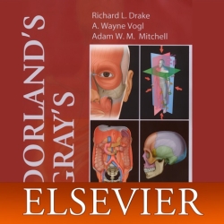 لوگو Pocket Atlas of Anatomy