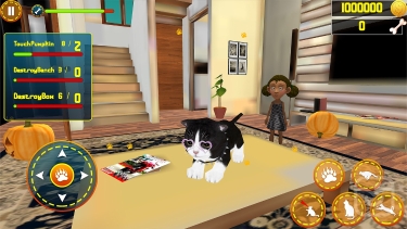 تصاویر My Cat Simulator life Game