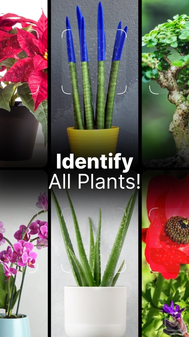 تصاویر Plant Pic Identifier ++