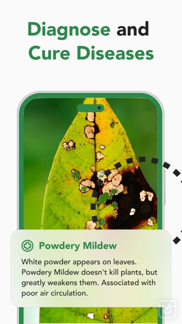 تصاویر Plant Care 360: AI Identifier ++