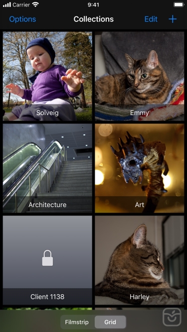 تصاویر ShutterSnitch