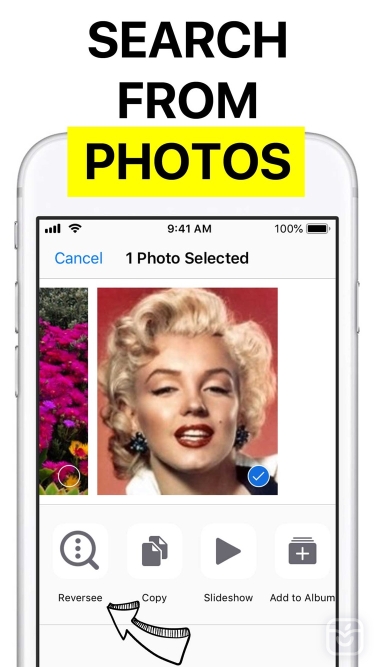 تصاویر Reversee: Reverse Image Search ++