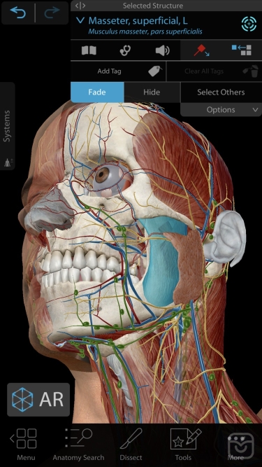 تصاویر Human Anatomy Atlas 2024